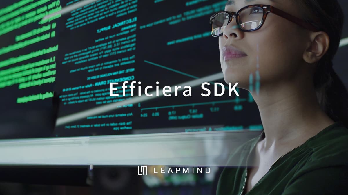 Efficiera SDK | LeapMind株式会社